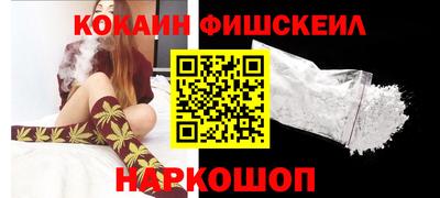 индика Камышлов