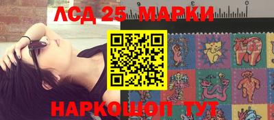 индика Камышлов