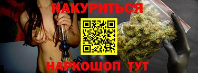 индика Камышлов