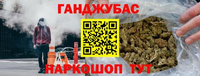 индика Камышлов