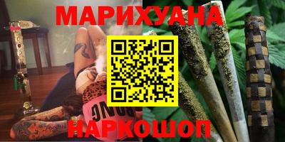 индика Камышлов