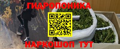 индика Камышлов