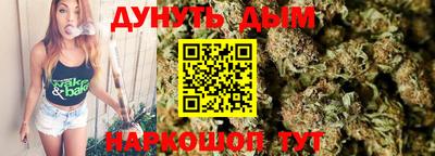 индика Камышлов