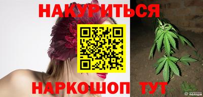 индика Камышлов