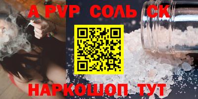 индика Камышлов