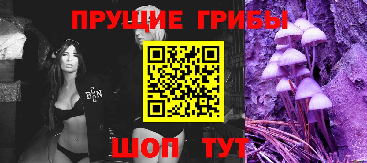 Псилоцибиновые грибы Cubensis  где купить наркотик  Алапаевск  Вход с VPN 
