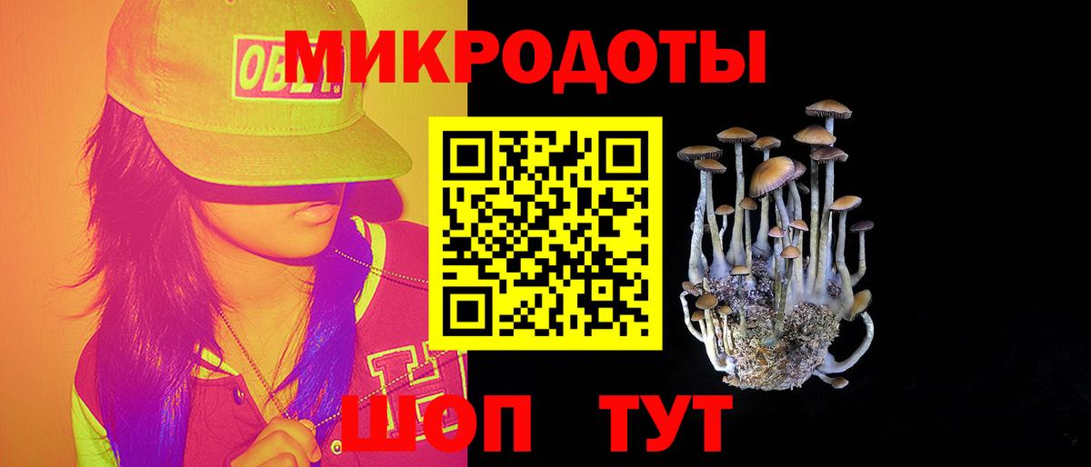 Псилоцибиновые грибы прущие грибы Алапаевск